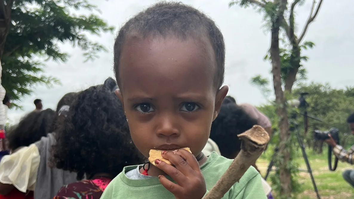 Featured image for Celebrating World Humanitarian Day