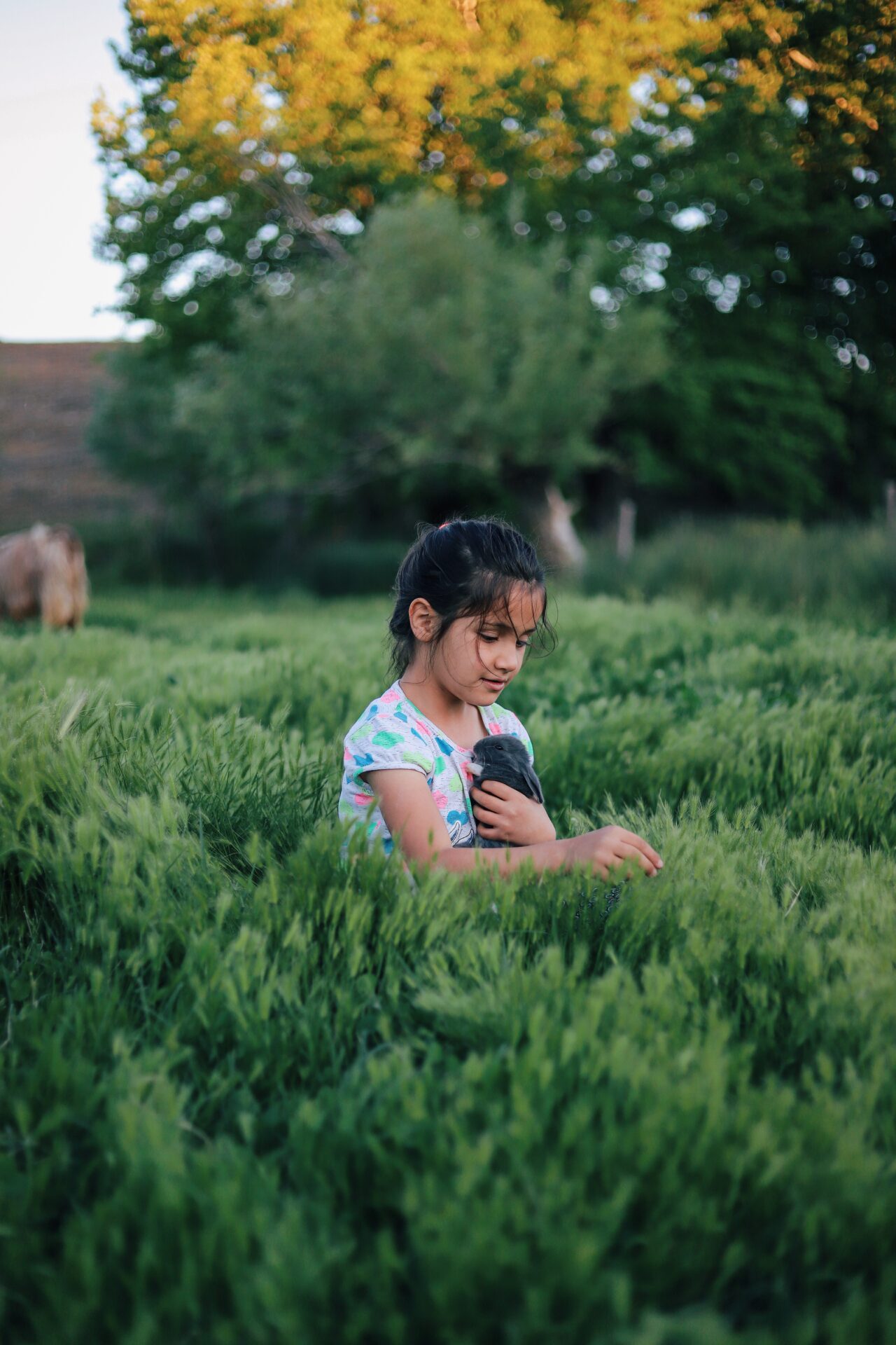 A child holding a rabbit in a green field